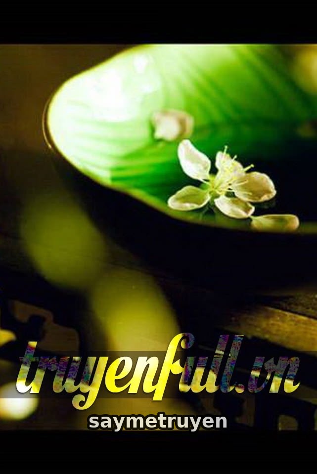 Dư Vị Trà Tâm