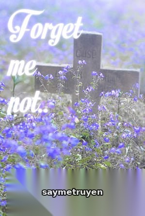 Forget Me Not