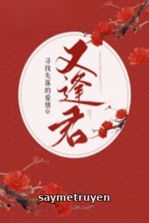 Gặp Lại Quân Tìm Kiếm Tình Yêu