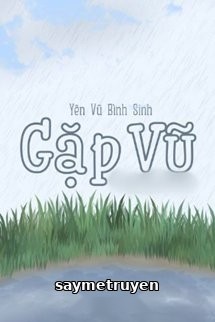 Gặp Vũ
