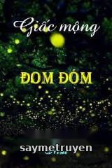 Giấc Mộng Đom Đóm