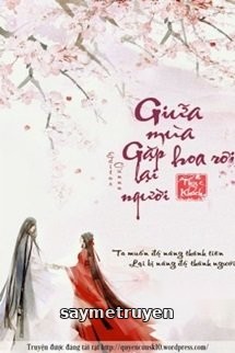 Giữa Mùa Hoa Rơi Gặp Lại Người