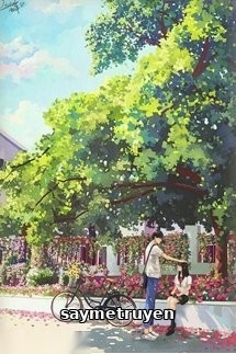 Gối Cậu Đi Vào Giấc Ngủ