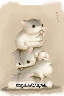 Hamster nhỏ nhà thầy giáo Tiêu