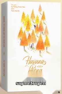 Havana, Tôi Không Còn Yêu Người Nữa