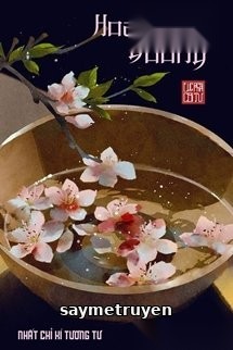 Hoa Trong Gương