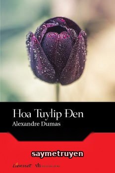 Hoa Tulip Đen