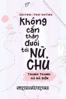 Không Cẩn Thận Đuổi Tới Nữ Chủ