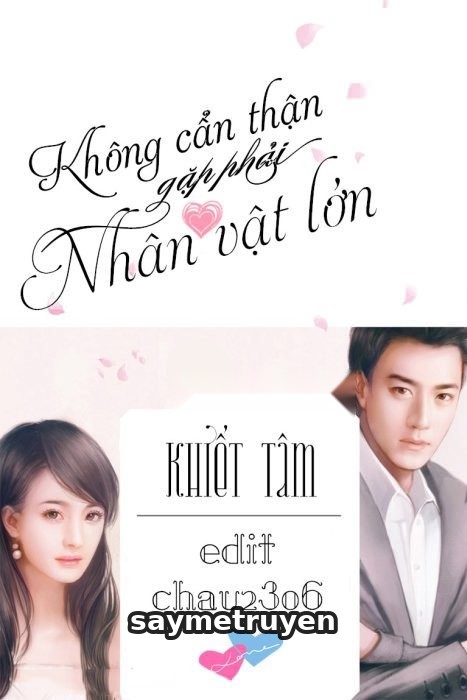 Không Cẩn Thận Gặp Phải Nhân Vật Lớn