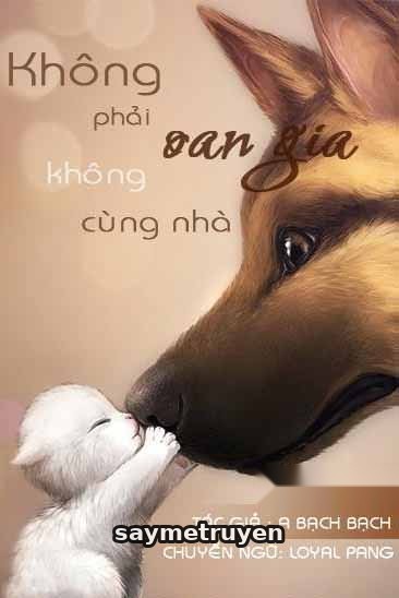 Không Phải Oan Gia, Không Chung Nhà