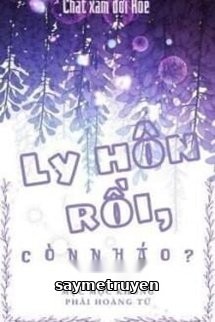 Ly Hôn Rồi, Còn Nháo