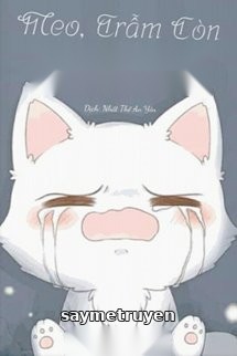Meo, Trẫm Còn Chưa Ăn No
