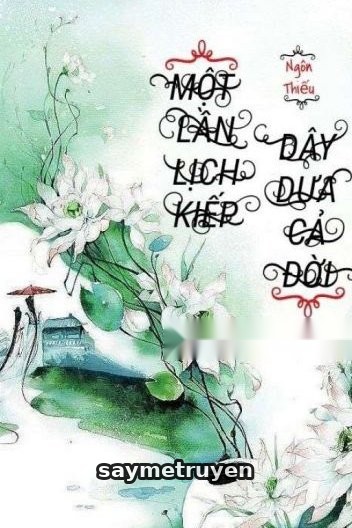 Một Lần Lịch Kiếp, Dây Dưa Cả Đời