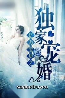 Ngoại truyện Độc gia sủng hôn