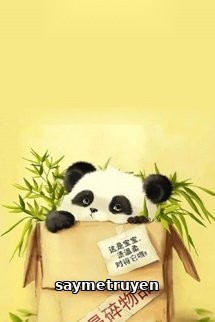 Người Người Đều Yêu Gấu Trúc