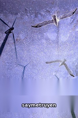 Nguyện Ước Được Như Đôi Chim Câu