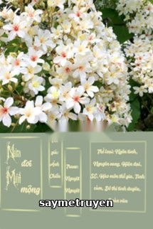 Nửa Đời Một Mộng