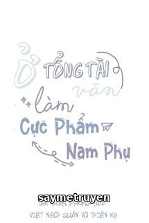 Ở Trong Văn Tổng Tài Làm Cực Phẩm Nam Phụ