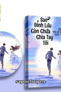 Sao Đỉnh Lưu Chưa Chia Tay Tôi