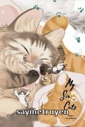 Sáu Con Mèo Tranh Nhau Muốn Nuôi Ta