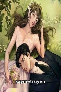 Sau Khi Ly Hôn Chồng Cũ Muốn Theo Đuổi Tôi