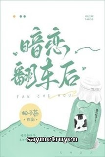 Sau Khi Yêu Thầm Bị Lật Xe