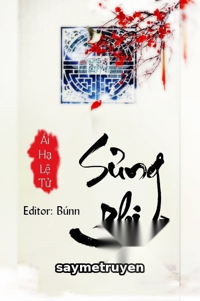 Sủng Phi