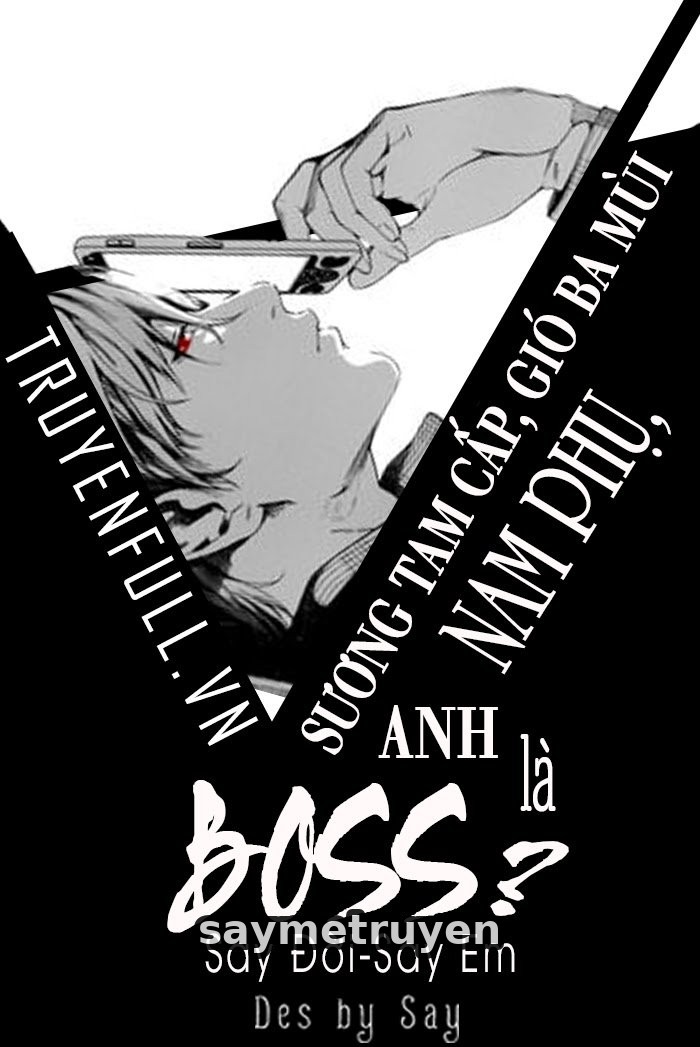 Sương Tam Cấp, Gió Ba Mùi: Nam Phụ, Anh Là Boss?