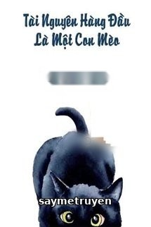 Tài Nguyên Hàng Đầu Là Một Con Mèo