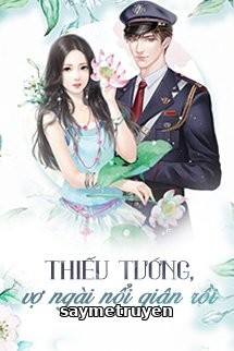 Thiếu Tướng, Vợ Ngài Nổi Giận Rồi