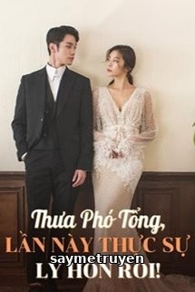 Thưa Phó Tổng, Lần Này Thực Sự Ly Hôn Rồi!