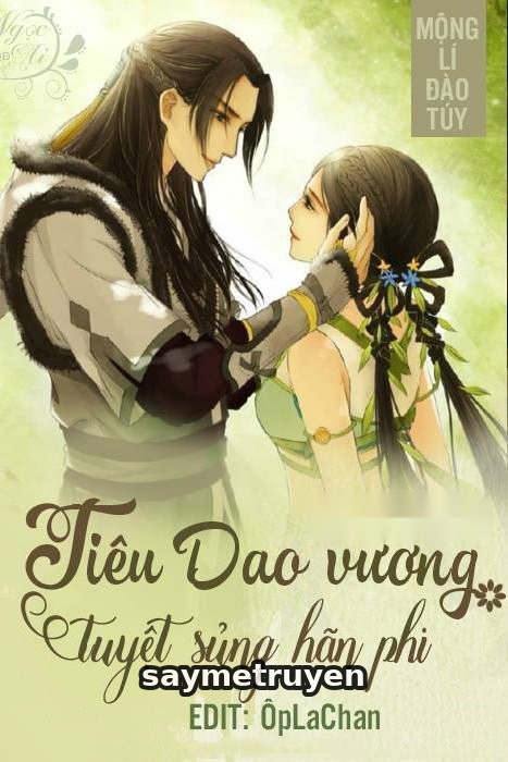 Tiêu Dao Vương Tuyệt Sủng Hãn Phi