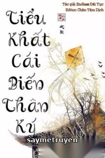 Tiểu Khất Cái Biến Thân Ký