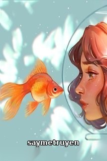 Tình Anh Lấp Lánh Tựa Ánh Sao Trời