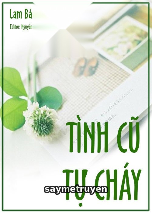 Tình Cũ Tự Cháy