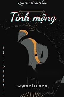 Tỉnh Mộng