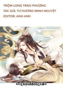 Trộm Long Tráo Phượng