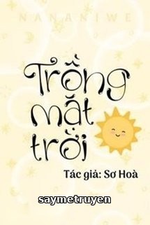 Trồng Mặt Trời