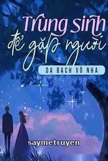 Trùng Sinh Để Gặp Người