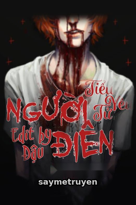 Người Điên