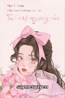 Tuế Mộ Ngưng Chi