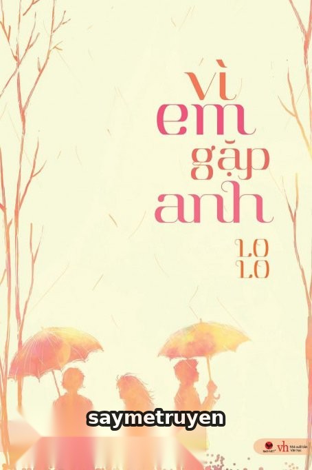Vì Em Gặp Anh