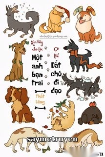 Xin Hãy Cho Tôi Một Anh Bạn Trai Có Thể Dắt Chó Đi Dạo