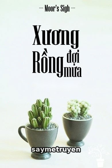 Xương Rồng Đợi Mưa
