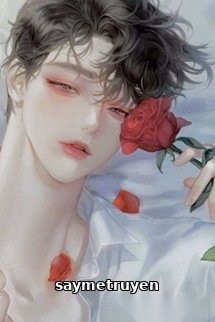 Xuyên Nhanh Công Lược: Nam Chủ Là Cái Tiểu Khả Ái