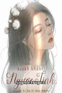 Xuyên Nhanh: Ngược Tình