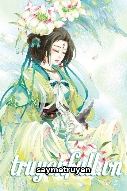 Xuyên Qua Thời Không, Ta Thành Vương Phi