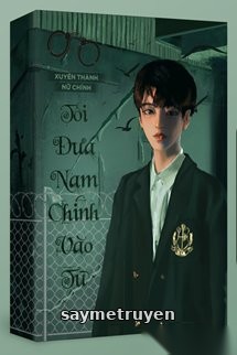 Xuyên Thành Nữ Chính Tôi Đưa Nam Chính Vào Tù