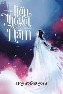 Xuyên Vào Tiểu Thuyết Dành Cho Nam