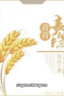 Xuyên Việt Chi Thanh Thanh Mạch Tuệ